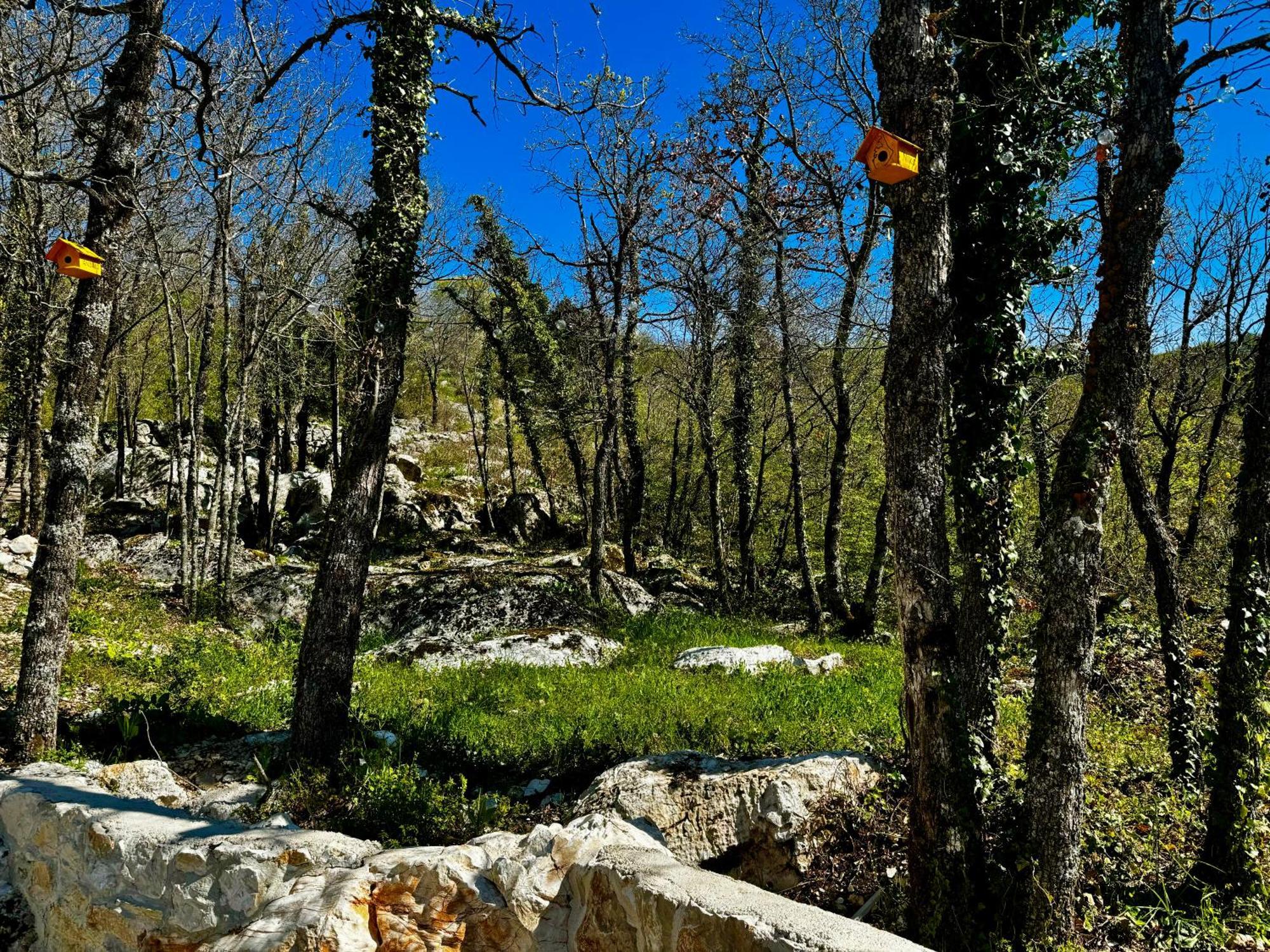 Luxury Villa Andrea Vrzika In Forest Near The Sea Zagvozd Extérieur photo